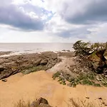 Le Petit Voilier - M9106 * 포르닉
